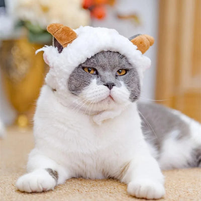Animal Decorate Pet Cat Hat Multi Sizes Designer Soft Cotton Dogs Accessories Head Wear Adjustable Lovely Winter Kitten Caps