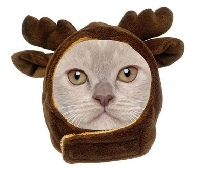 Animal Decorate Pet Cat Hat Multi Sizes Designer Soft Cotton Dogs Accessories Head Wear Adjustable Lovely Winter Kitten Caps