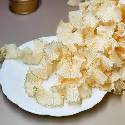 4M/lot 3cm Wine red/pink/Beige Chiffon Pleated Lace Dog Tooth Ruffle Lace Trimming for Dress Pet Cloth Home Decoration X1496