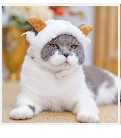 Animal Decorate Pet Cat Hat Multi Sizes Designer Soft Cotton Dogs Accessories Head Wear Adjustable Lovely Winter Kitten Caps