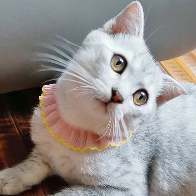 4M/lot 3cm Wine red/pink/Beige Chiffon Pleated Lace Dog Tooth Ruffle Lace Trimming for Dress Pet Cloth Home Decoration X1496