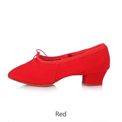 Women Dance Shoes Ballet Jazz Salsa Shoes