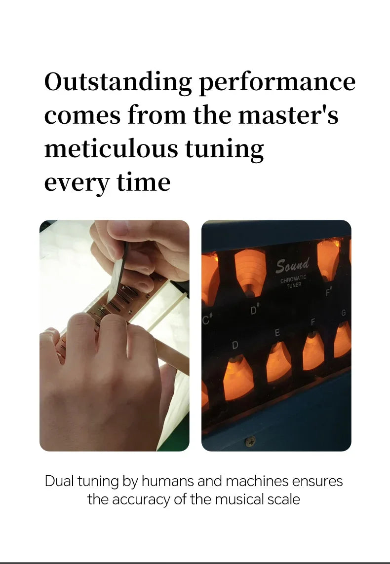 JDR Polyphonic Harmonica 24 Holes Professional Tremolo Mouth Organ T2406S Harmonica For Adults, Professionals and Students