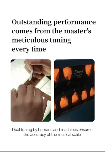 JDR Polyphonic Harmonica 24 Holes Professional Tremolo Mouth Organ T2406S Harmonica For Adults, Professionals and Students