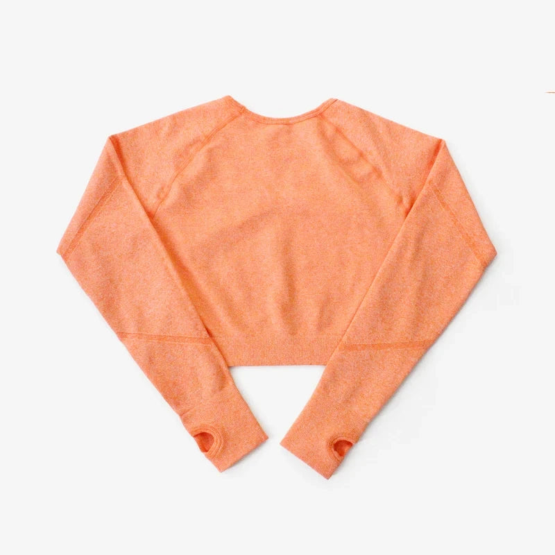 Women's Crop Top Long Sleeves Workout