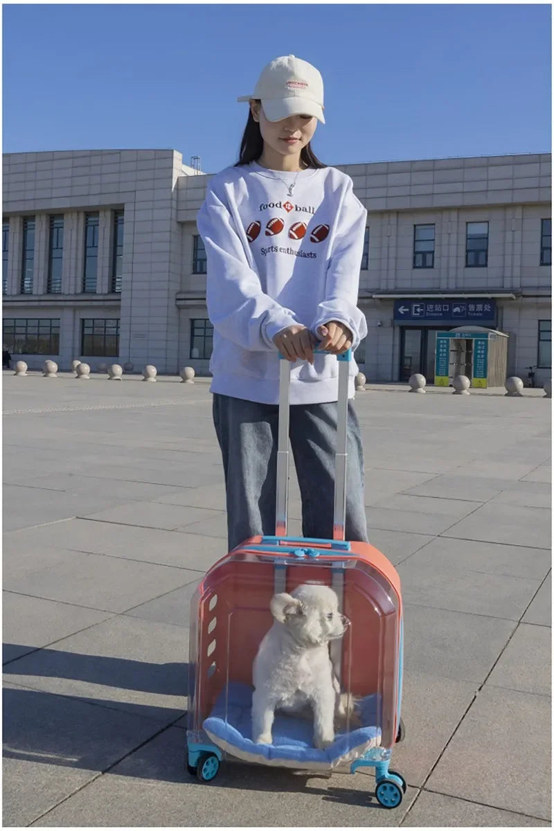 Pet Cat Carrier Out Trolley Case Portable Large Capacity Dog Bag Transparent Breathable Cat Backpack Transporter Pet Supplies