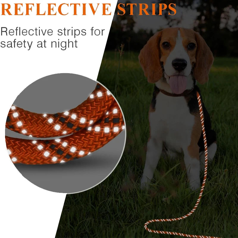 2/3/10/15/20m Dog Leash Long Pet Reflective Leash for Small Medium Large Dog Outdoor Puppy Cat Dog Training Walking Rope