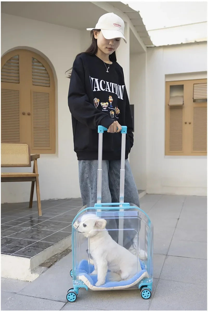 Pet Cat Carrier Out Trolley Case Portable Large Capacity Dog Bag Transparent Breathable Cat Backpack Transporter Pet Supplies
