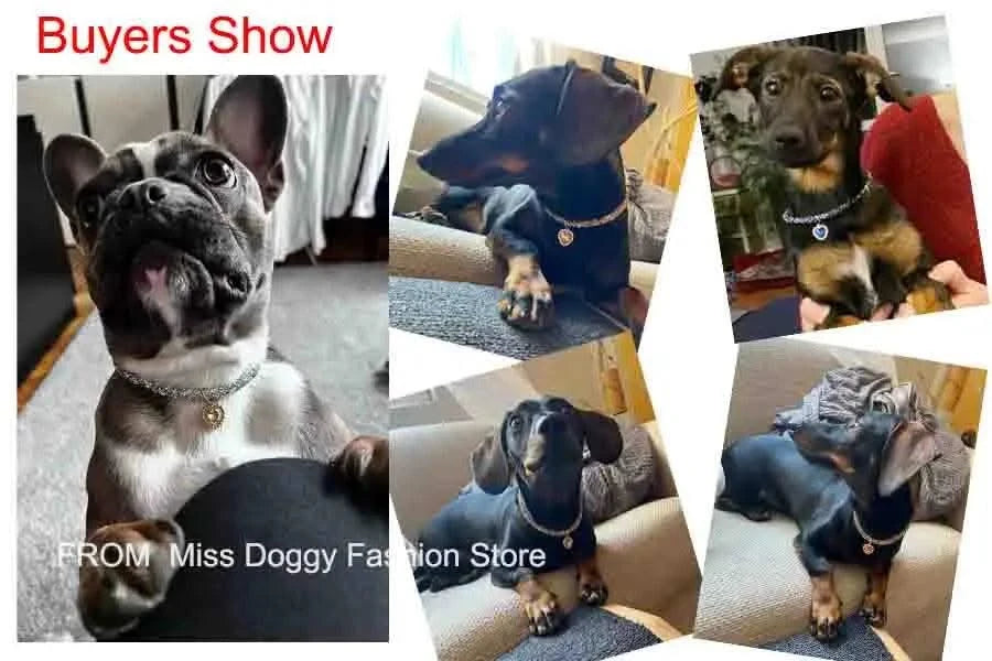 Adjustable Pet Necklace Cat Dog Collar with Diamond Zircon Heart Pendant Jewelry Luxury Metal Puppy Collars Dog Accessories