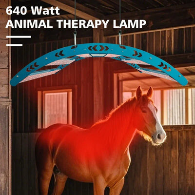 640W 516 LEDs 30° 630/660+ 810/830/850nm Red Light Therapy Bar Device For Horses/Animals Pain Relief & Muscle Recovery