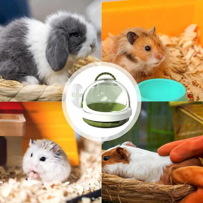 Lightweight PP Pet Carrier with Water Feeder Travel Cage for Hamster Guinea Pig Hedgehog Ferret Accessories