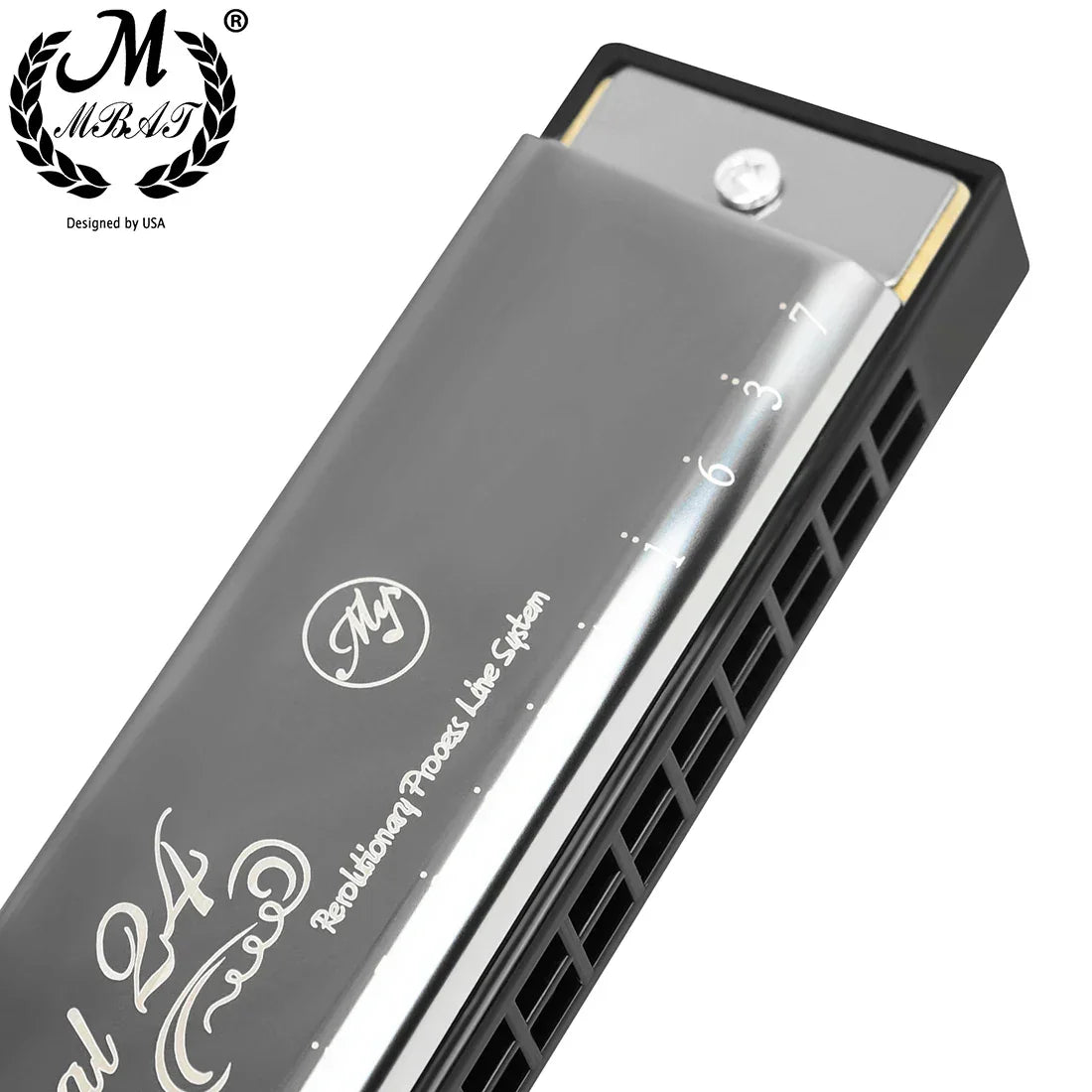 24 Holes Harmonica Key of C Professional Tremolo Mouth Organ With Case For Adults Professionals and Students Harmonica