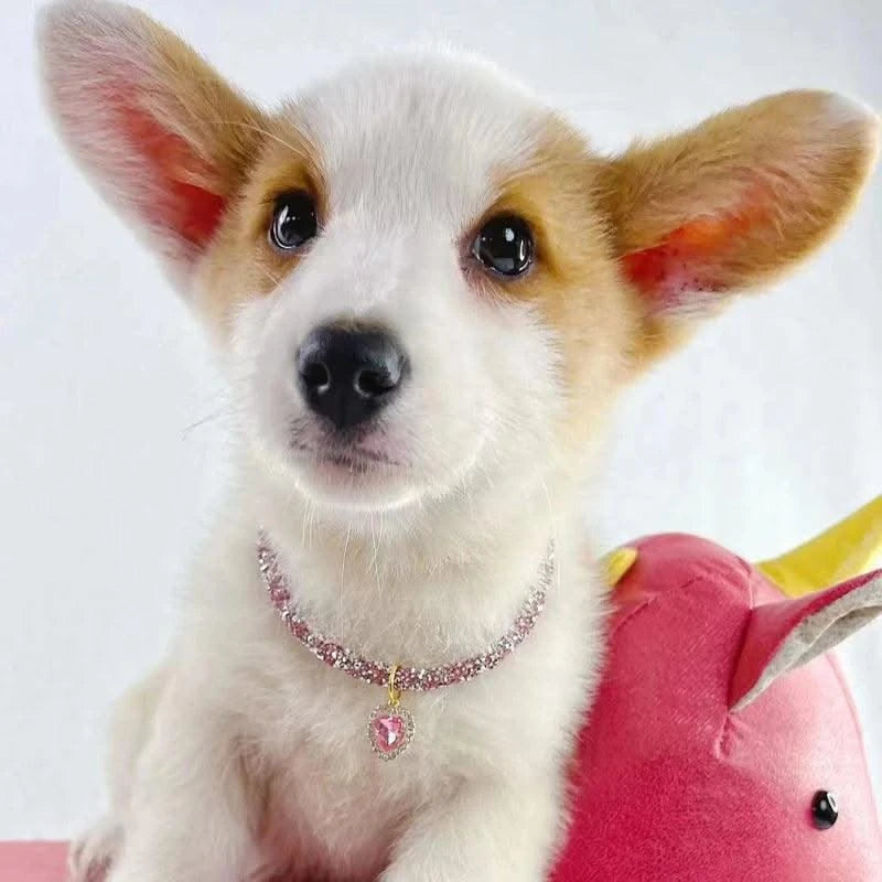 Adjustable Pet Necklace Cat Dog Collar with Diamond Zircon Heart Pendant Jewelry Luxury Metal Puppy Collars Dog Accessories