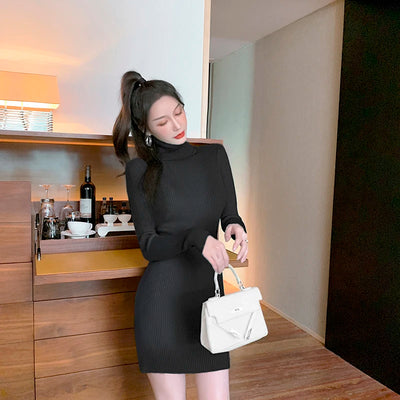 Turtleneck Sweater Dress Women 2025 Autumn Winter New Arrival Knitted Long Sleeve Mini Dress Women Thicken Bodycon Dresses Women