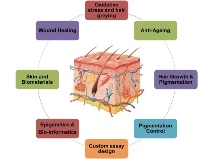 Full Size Amethyst Tourmaline PEMF Infrared Mats With Crystal Sauna Effect FIR Therapy Heating Carpet