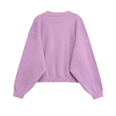Women's clothing autumn new products simple casual and fashionable ribbed round neck long sleeve knitted sweatshirt