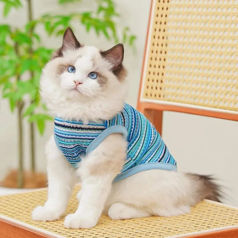 Pet Dog Clothes Summer Puppy Clothing Dogs Soft Vests Kitty Casual T-Shirt for Small Medium Puppy Cat Costume Pet Supplies