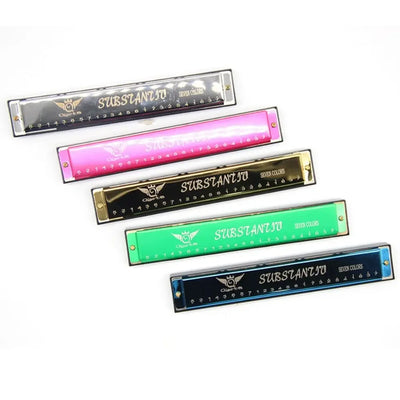 Double Row 24 Hole Harmonica Professional Play Blues Harmonica Tremolo Harmonica Beginner Jazz Folk Harmonicas Blues Rock