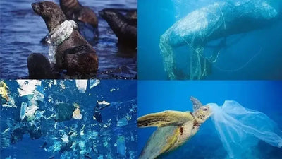 Plus Size Leak Proof Menstrual Panties Women Underwear Period Cotton Pregnancy Waterproof Briefs Physiological Breathable Pants