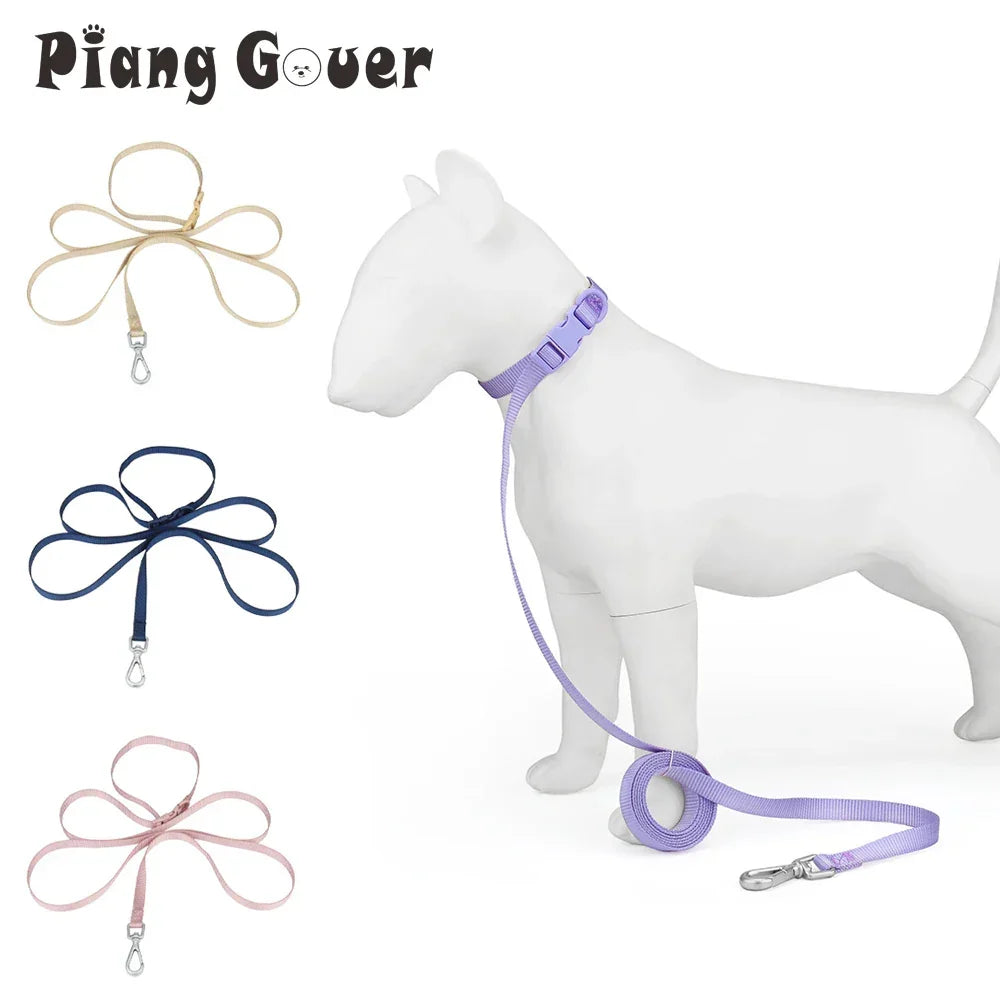 Small Dog Retractable Leash for Medium Dogs Puppy Outdoor Walk Training Pet Leashes Rope