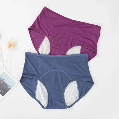 Leak Proof Menstrual Panties Women Period Underwear Sexy Pants Incontinence Underwear Briefs Plus Size Femme Underpants