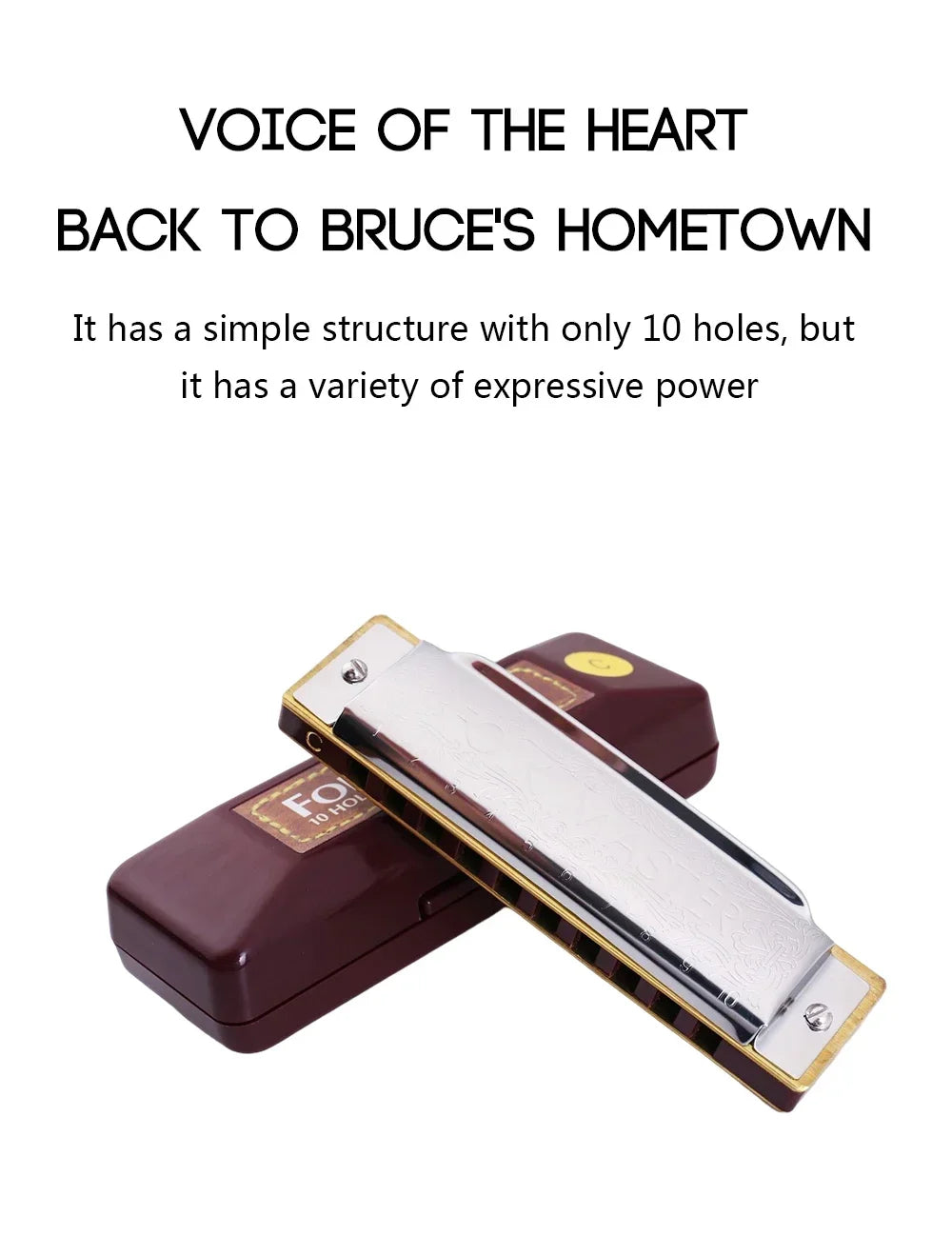 Harmonica Folk Master 1072 Standard Beginner 10 Hole 20 Tone Diatonic Key of C A D E F G 12 Tones Are Optional