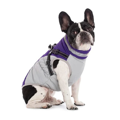 Waterproof Pet Jacket With Harness Winter Warm Dog Clothes for Small Large Dogs Labrador Coat Chihuahua French Bulldog Outfits