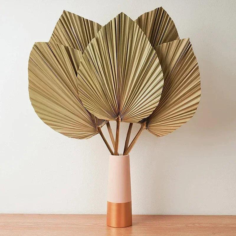 5 pieces natural dried palm leaves room decor tropical fans for a beautiful boho home wedding