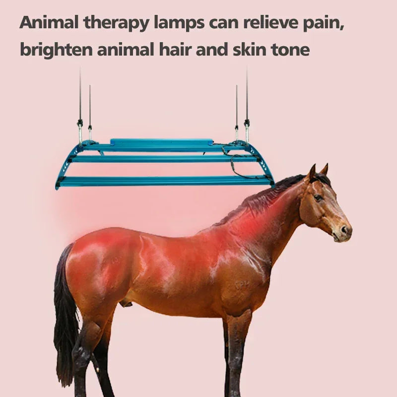 640W 516 LEDs 30° 630/660+ 810/830/850nm Red Light Therapy Bar Device For Horses/Animals Pain Relief & Muscle Recovery
