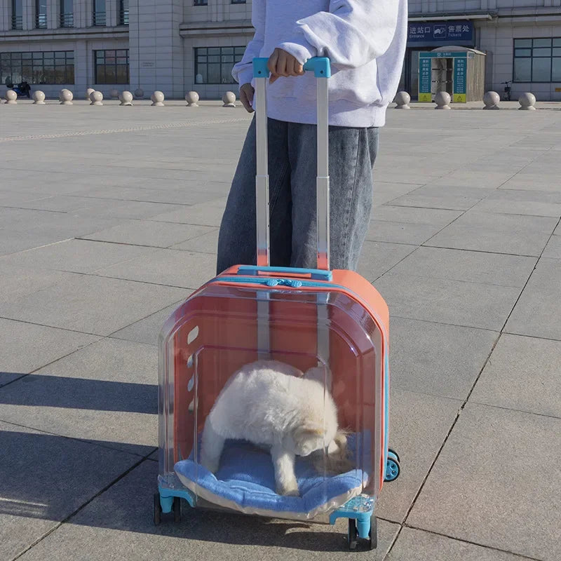 Pet Cat Carrier Out Trolley Case Portable Large Capacity Dog Bag Transparent Breathable Cat Backpack Transporter Pet Supplies