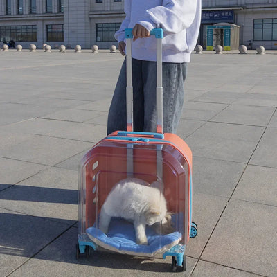Pet Cat Carrier Out Trolley Case Portable Large Capacity Dog Bag Transparent Breathable Cat Backpack Transporter Pet Supplies