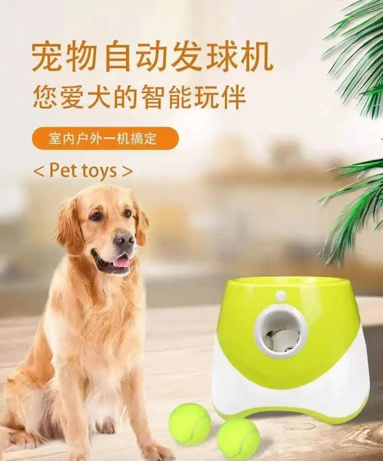 Automatic Pet Throw Jump Ball Dog Catapult Ball Launcher Dog Toy Bulldog Toy Tennis Machine Automatic Pet Throw