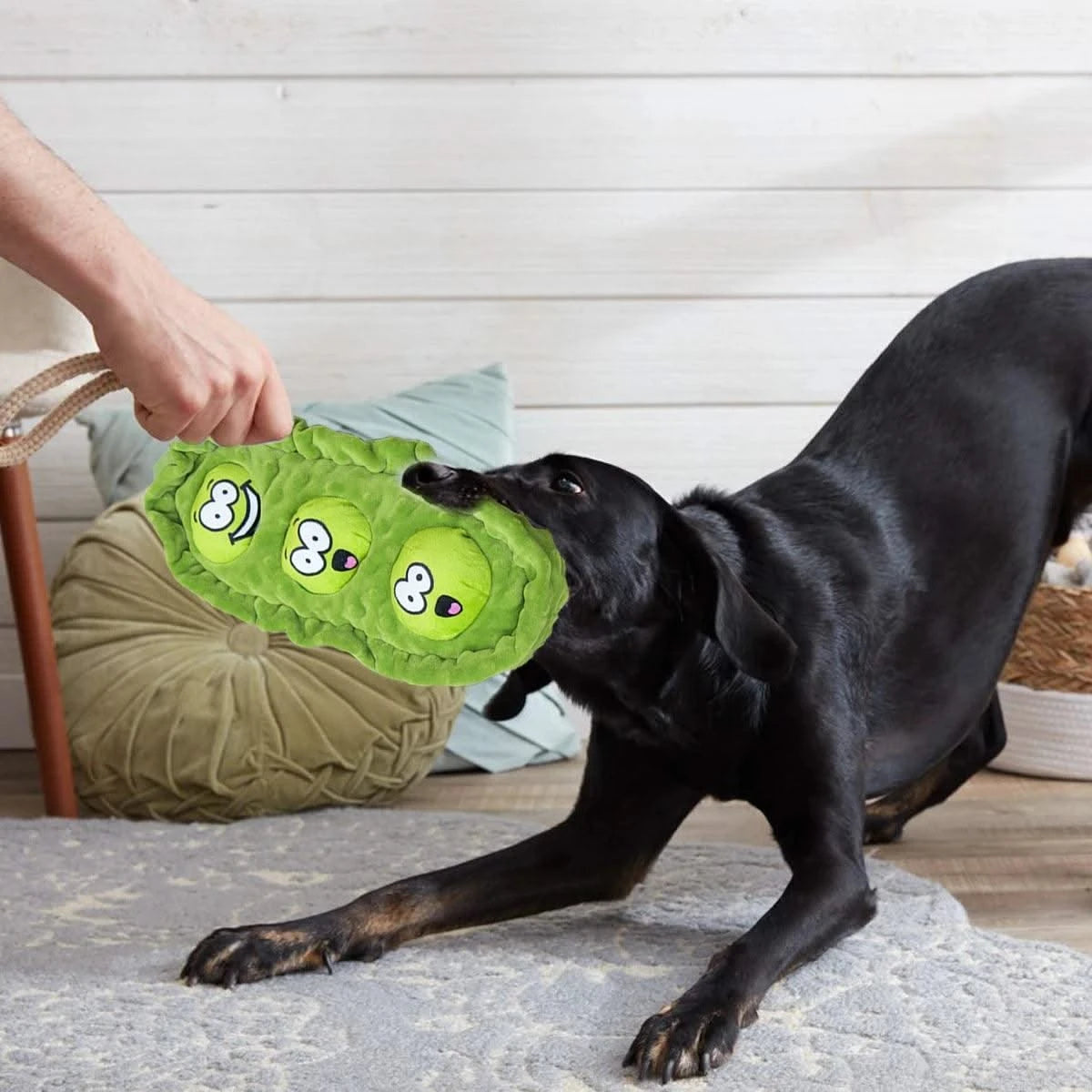 Pet Dog Snack Hiding Toys Relieve Boredom Interactive Doll  Pea Pods Sets Throwing Chasing Plush Toy Slow Food Smelling Pet Ball