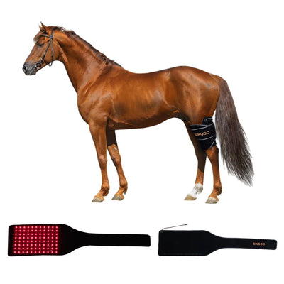 Red light therapy horse grooming brush with LED for muscle soothing