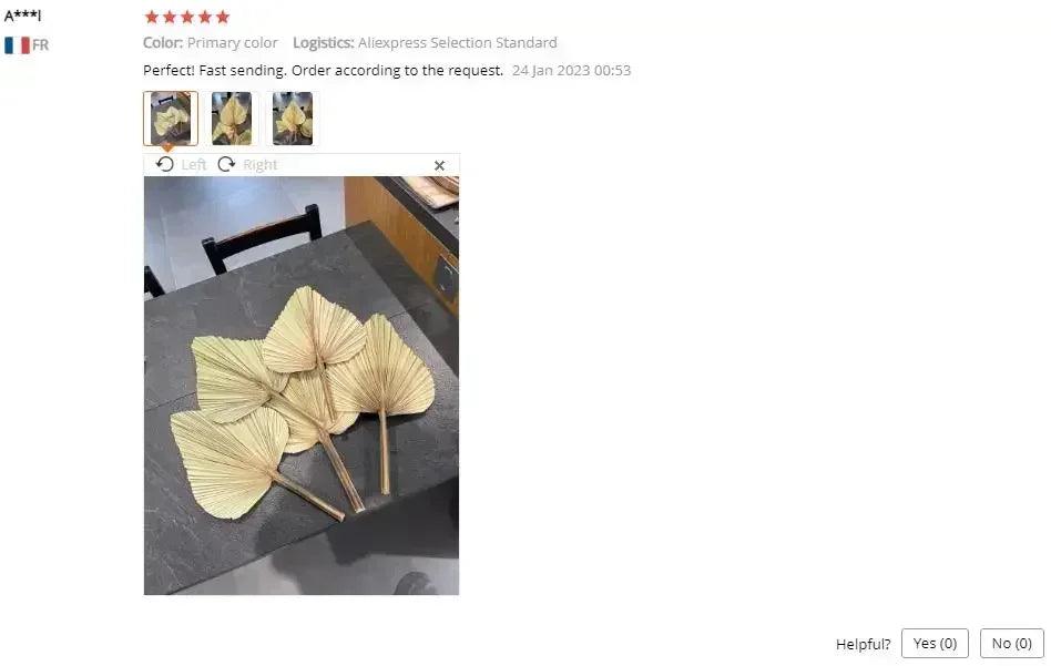 5 pieces natural dried palm leaves room decor tropical fans for a beautiful boho home wedding