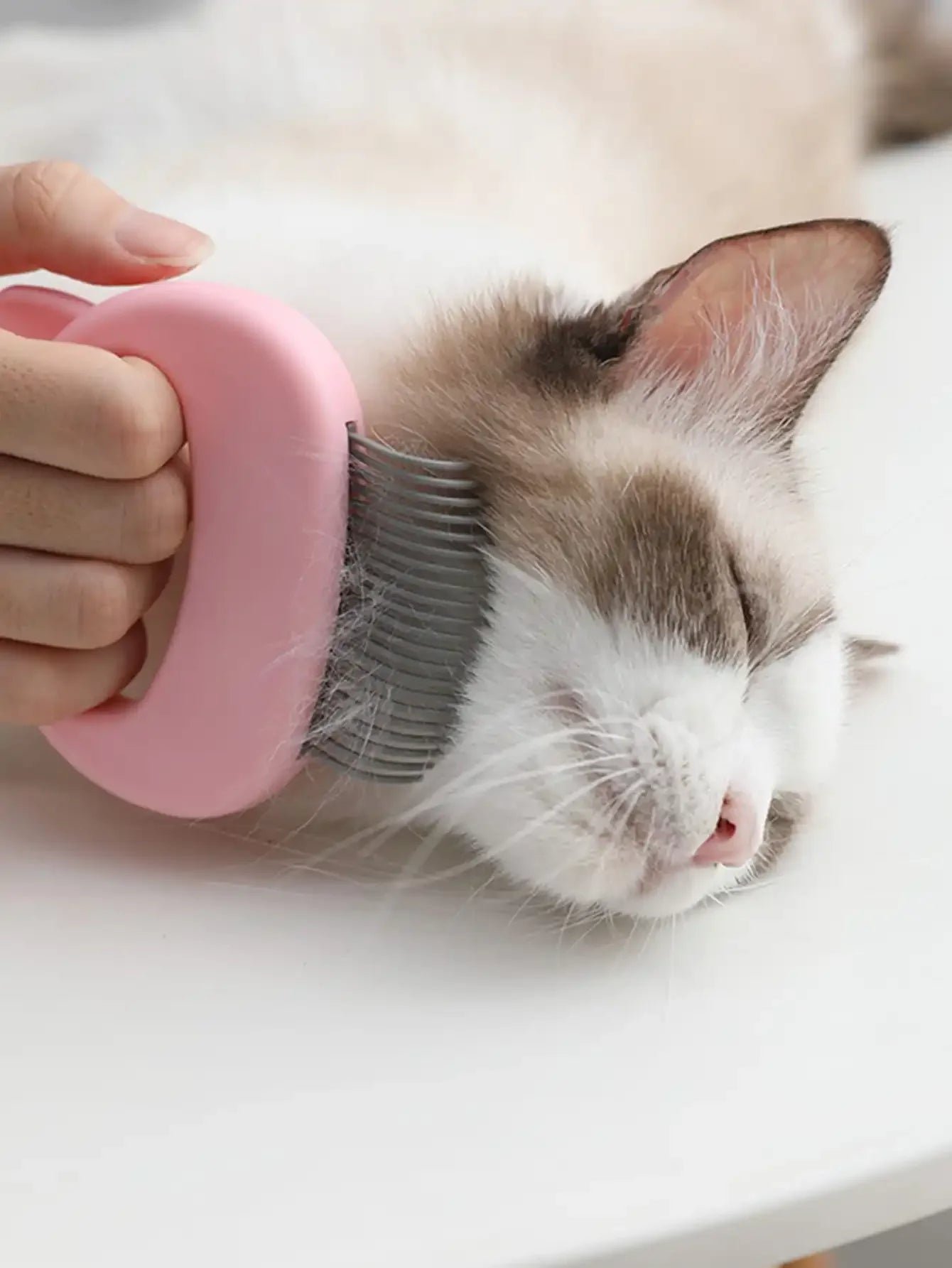 1pc PetCat Comb Grooming Massage Brush Shell Shaped Handle Dog Grooming Massage Tool To Remove Hairs For Cat Cleaning Supplies