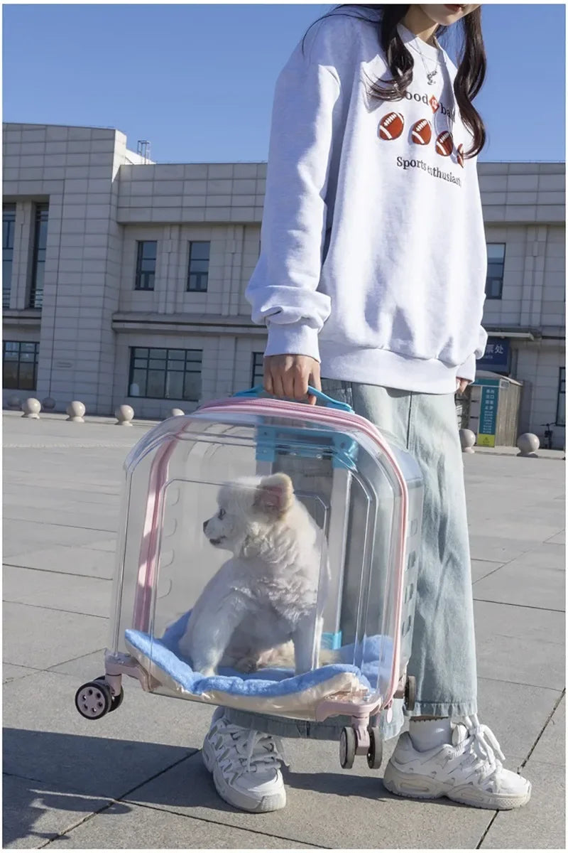 Pet Cat Carrier Out Trolley Case Portable Large Capacity Dog Bag Transparent Breathable Cat Backpack Transporter Pet Supplies