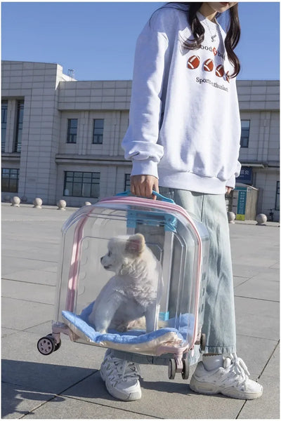 Pet Cat Carrier Out Trolley Case Portable Large Capacity Dog Bag Transparent Breathable Cat Backpack Transporter Pet Supplies