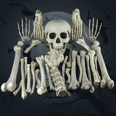 Halloween Human Skeleton Human Skeleton Halloween Horror Decorations Graveyard Decorations Haunted House Horror Skeleton Props