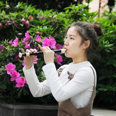 IRIN Baroque Clarinet Woodwind Instrument Recorder Soprano Vertical Flute With Musical Instrument Accessories Beginner Gift