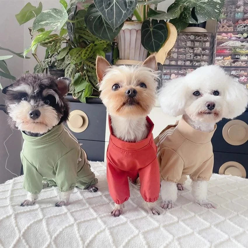 Summer Pet Dog Clothes Outdoor Thin Sunscreen Clothing Four Feets Jumpsuits For Small Medium Dog Yorkshire Puppy Clothing Romper