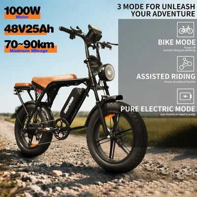 1000W Motor Adult Electric Bike 48V 25AH 20-inch Snow Tire Electric bicycle Outdoor adult Off-Road Bicycle Mountain Ebike