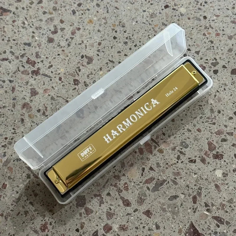 24 Hole Metal Harmonica Children's Early Education Instrument Self-learning Introductory Chromatic Color Double Row Harmonica