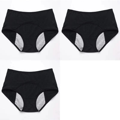 3pcs/Set Leak Proof Menstrual Panties Women Period Underwear Sexy Pants Physiological Underwear Plus Size Waterproof Briefs