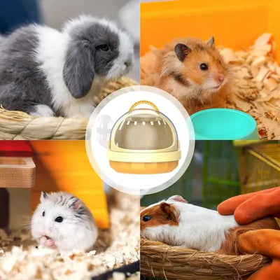 Lightweight PP Pet Carrier with Water Feeder Travel Cage for Hamster Guinea Pig Hedgehog Ferret Accessories