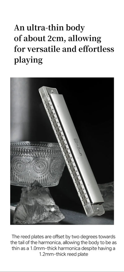 JDR Polyphonic Harmonica 24 Holes Professional Tremolo Mouth Organ T2406S Harmonica For Adults, Professionals and Students