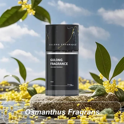 Car Fragrance Scent Diffusers Ornament Perfume for Bathroom Bedroom Car Air Freshener Car Aromatherapy Essential Oil Diffusers