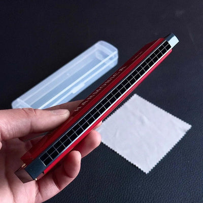 24 Hole Metal Harmonica Children's Early Education Instrument Self-learning Introductory Chromatic Color Double Row Harmonica