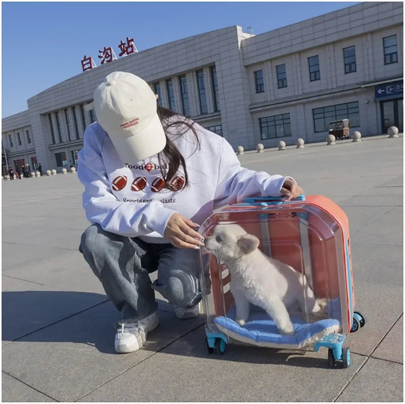 Pet Cat Carrier Out Trolley Case Portable Large Capacity Dog Bag Transparent Breathable Cat Backpack Transporter Pet Supplies