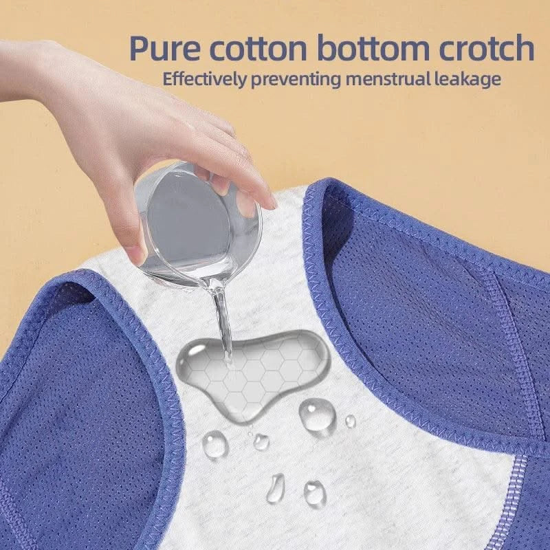 Leak Proof Menstrual Panties Women Period Underwear Sexy Pants Incontinence Underwear Briefs Plus Size Femme Underpants